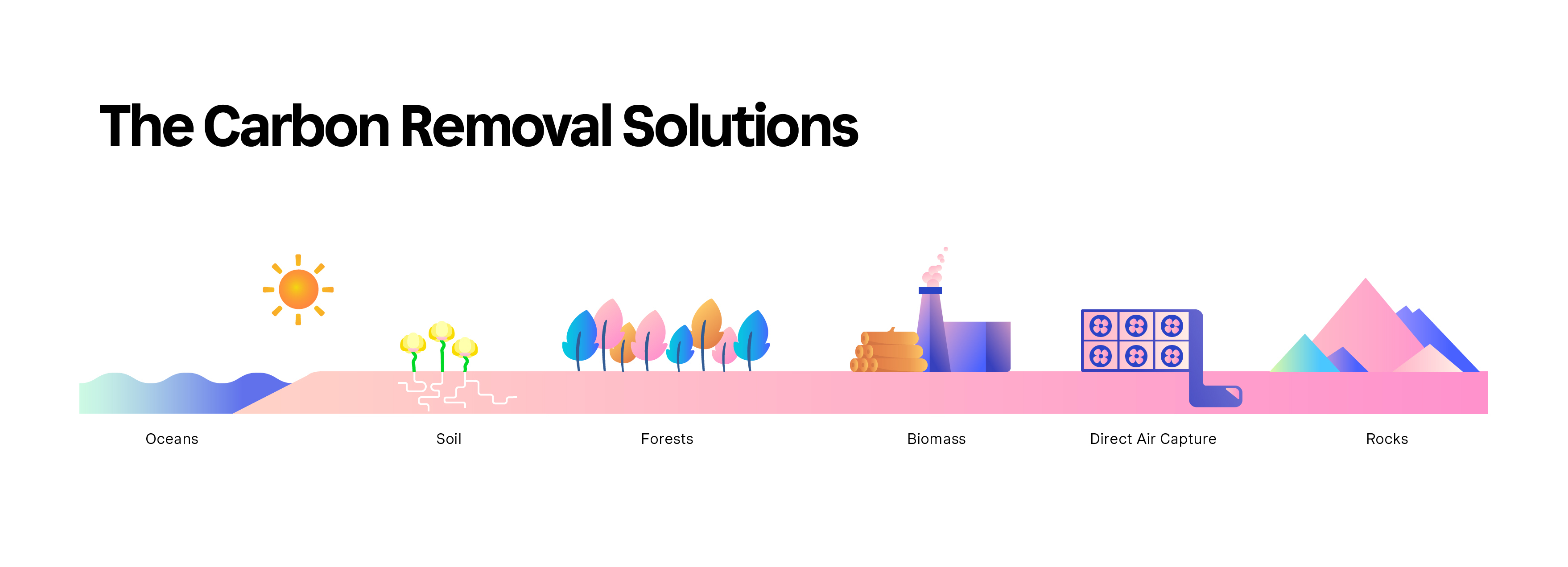 Carbon-Removal-Ecosystem-Infographic-Pink 1
